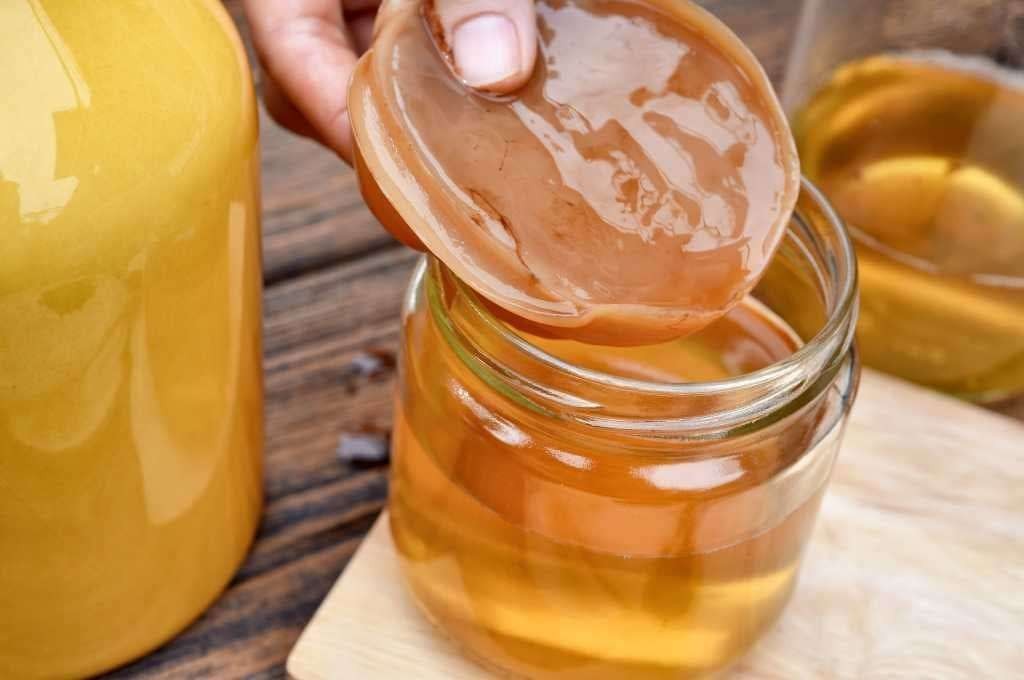 Kombucha populer dijadikan sebagai minuman kesehatan. (Foto: Istimewa)