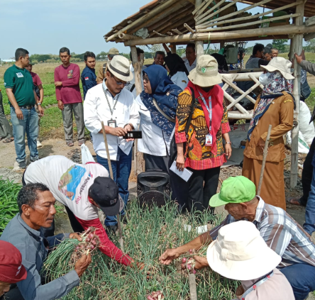 Acara field day oleh tim Bidang Tanaman Pangan dan Hortikultura Dinas Ketahanan Pangan dan Pertanian (DKPP) Kabupaten Bojonegoro, pada Selasa 18 September 2023. (Foto: dok. DKPP Bojonegoro)