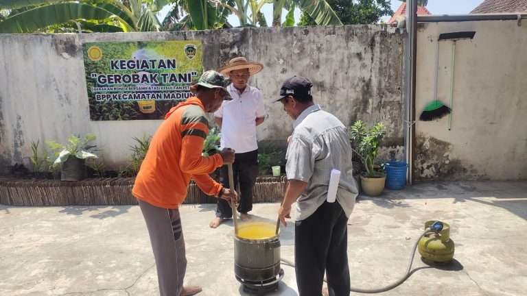 Petugas Penyuluh Pertanian tengah membimbing pembuatan bubur California oleh Kelompok Tani Sari Makmur dan Sari Mulya Desa Gunungsari Kecamatan/Kabupaten Madiun, Rabu 20 September 2023. (Foto: dok. madiunkab)