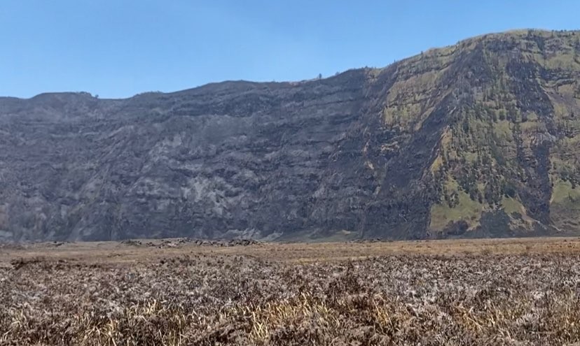 Bukit Kaldera Taman Nasional Bromo Tengger Semeru terdampak kebakaran. (Foto: Lalu Theo/Ngopibareng.id)