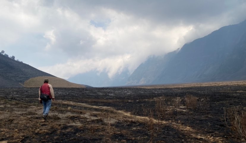 Sisa-sisa kebakaran di Kawasan Gunung Bromo, Taman Nasional Bromo Tengger Semeru. (Foto: Lalu Theo/Ngopibareng.id)