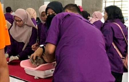 Hewan peliharaan kucing milik warga Bondowoso divaksin rabies gratis oleh Disnakkan setempat. (Foto: Guido Saphan/Ngopibareng.id)