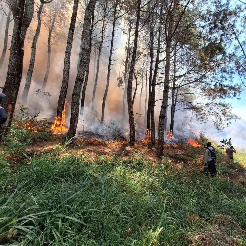 Gunung Lawu terbakar. (Foto; dok bpbd Ngawi)