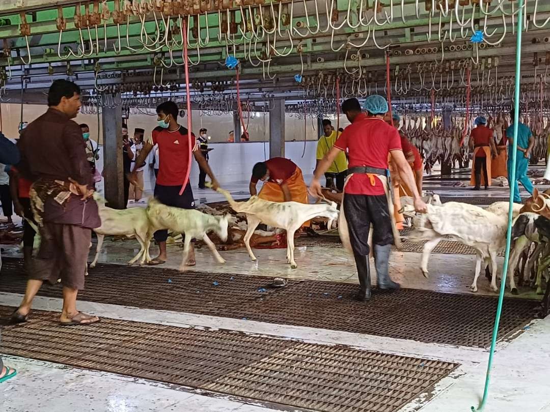 Ditjen PHU Kementerian Agama (Kemenag) tengah mematangkan konsep perbaikan pengelolaan al-hadyu (Dam) jemaah haji. (Foto: Istimewa)