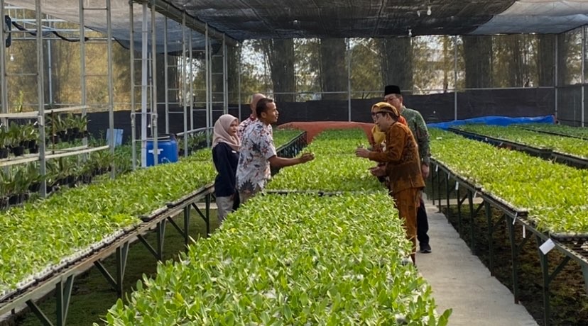 Mendes PDTT, Abdul Halim Iskandar (kanan berbatik) saat melihat budidaya anggrek di Desa Toyomerto, Singosari, Kabupaten Malang (Foto: Lalu Theo/Ngopibareng.id)