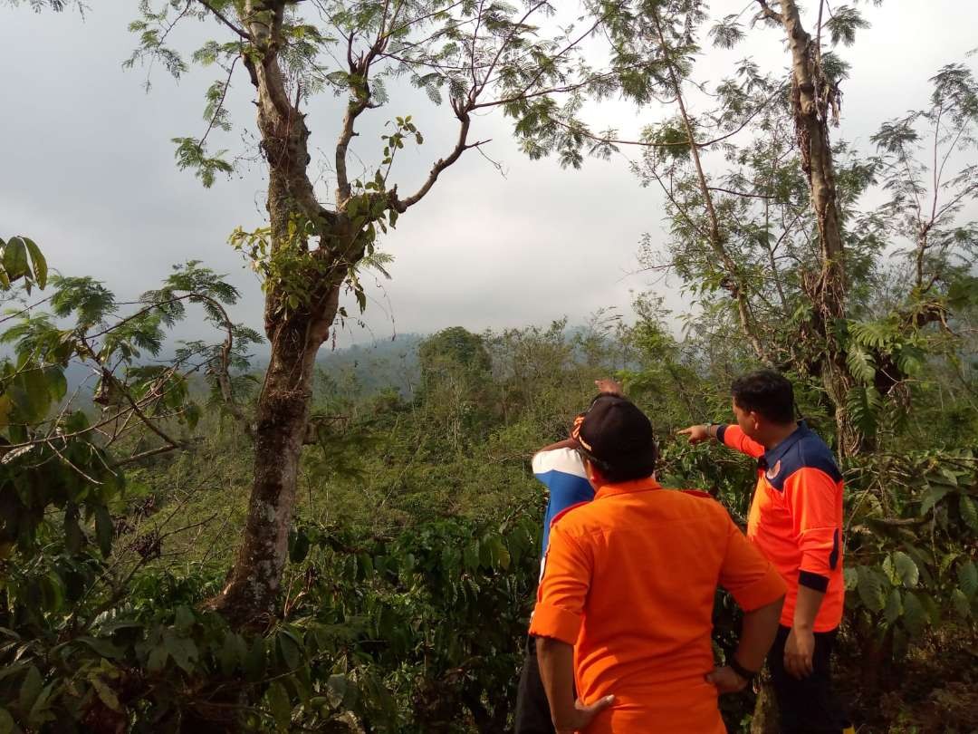 Petugas saat memantau kebakaran di Lereng Argopuro (Foto: Dok BPBD Jember)