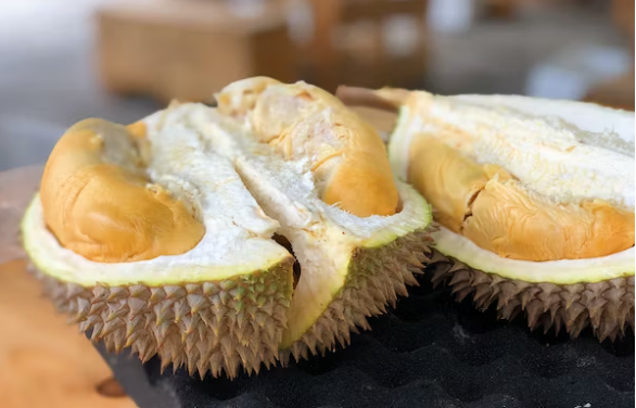 Petani durian di Desa Duyung, Kecamatan Trawas, Kabupaten Mojokerto sedang dilanda cemas. Bila tak ada hujan mereka khawatir gagal panen. (Foto: unsplash)