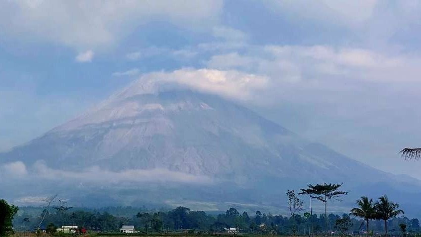 Jalur pendakian di hutan kawasan Taman Nasional Bromo Tengger Semeru (TNBTS) Gunung Semeru di Desa Ranupani, Kecamatan Senduro, Lumajang, terbakar, Sabtu 14 Oktober 2023. (Foto: X FPMKI)