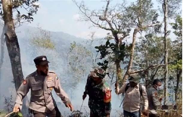 Petugas gabungan Perhurani, BPBD, TNI, dan Polri memadamkan titik api membakar hutan dan lahan Lereng Gunung Argopuro wilayah Situbondo.(Foto: BPBD Situbondo)