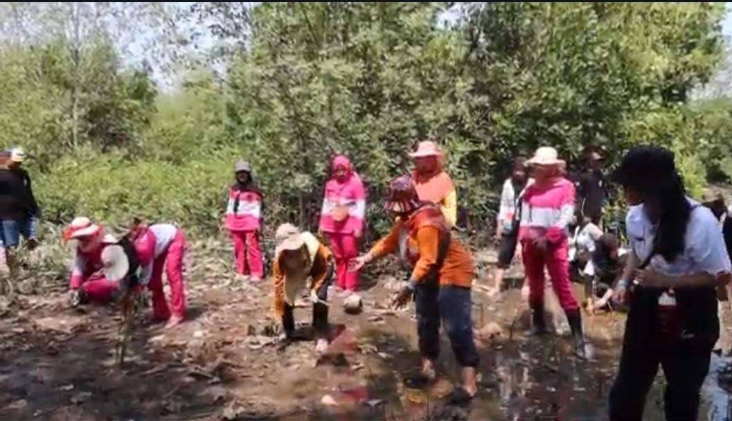 Mahasiswa FKM Unej saat melakukan penanaman bibit Pohon Mangrove di kawasan Pantai Klakah (Foto: Dok Humas Unej)