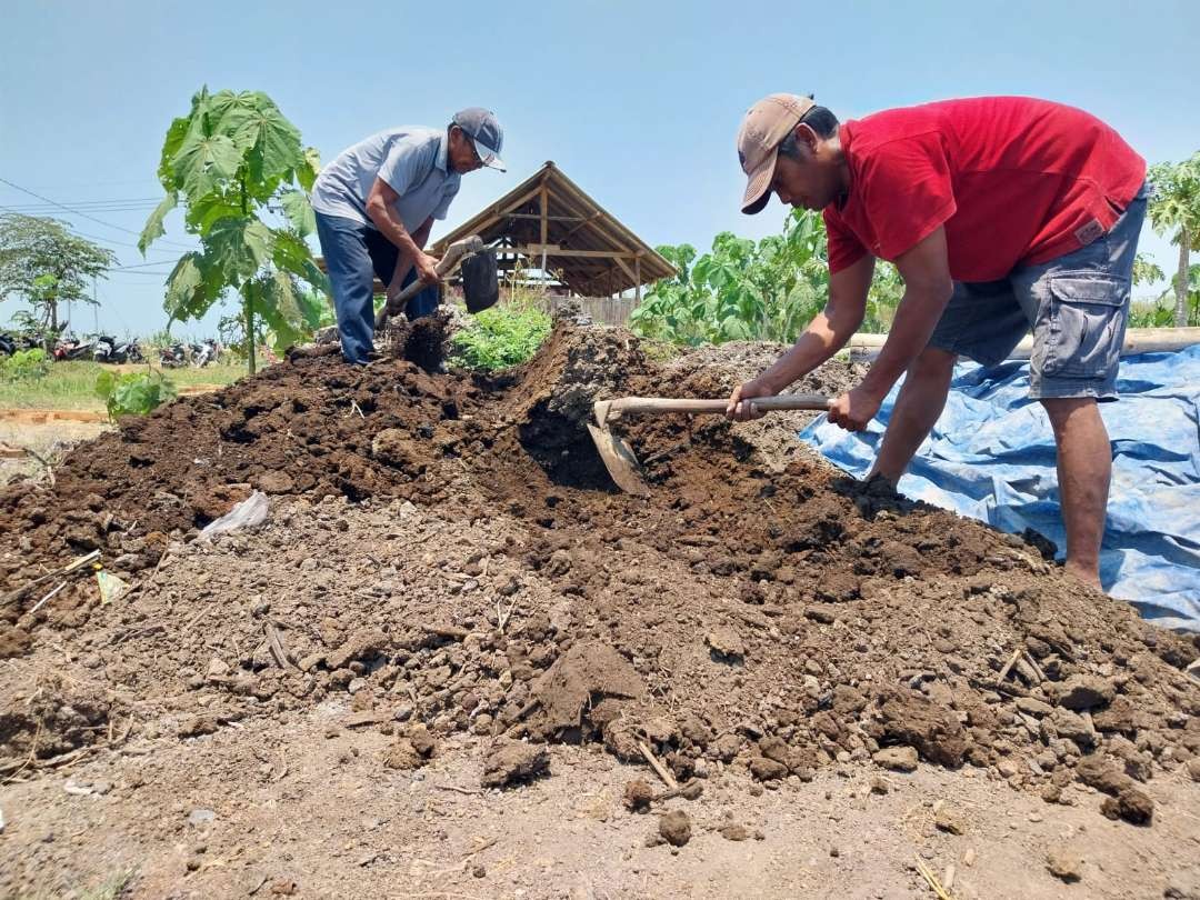 Para petani yang bernaung di LPDH mengolah kotoran hewan menjadi pupuk organik. (Foto: Istimewa)