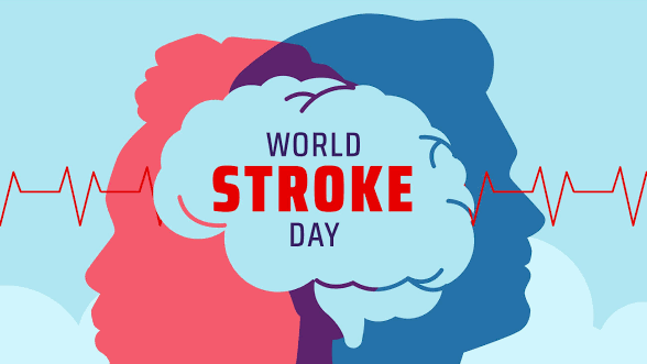 Hari Stroke Sedunia atau atau World Stroke Day, diperingati setiap tanggal 29 Oktober. (Foto: WSO)