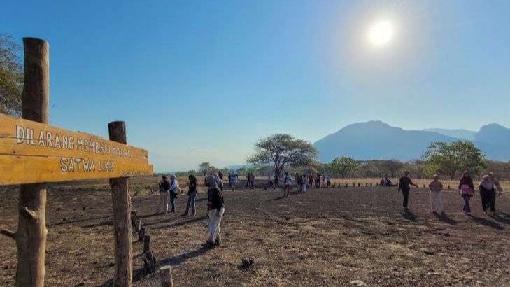 Balai Taman Nasional Baluran Situbondo, mencatat jumlah wisatawan mancanegara berkunjung ke wisata alam itu meningkat dibanding tahun sebelumnya. (Foto: Ant)