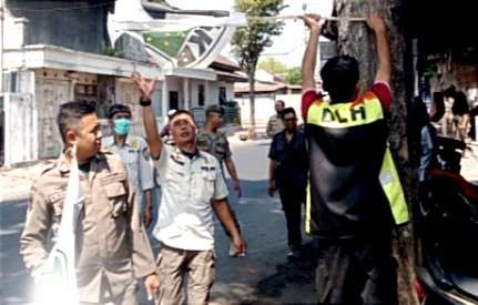 Anggota Satpol PP-Damkar, DLH, dan Bawaslu Bondowoso mencopoti bendera parpol dipaku pada pohon dan tak berizin.(Foto:Guido/Ngopibareng.id)