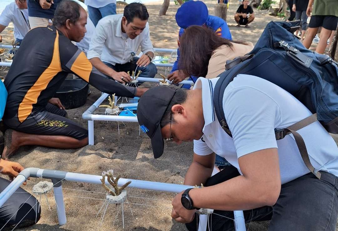 Pemasangan benih terumbu karang di kawasan pantai Bangsring Underwater (foto: istimewa)