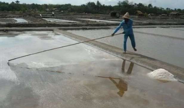 Petani garam di Kabupaten Probolinggo sedang memanen garam. (Foto: Ikhsan Mahmudi/Ngopibateng.id)