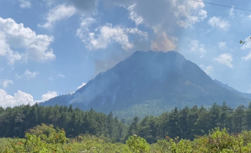 Kepulan asap kebakaran Gunung Panderman, Kota Batu, Jawa Timur. (Foto: Lalu Theo/Ngopibareng.id)