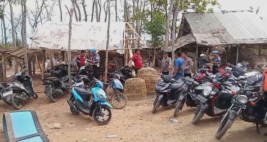 Arena Judi ayam di Kecamatan Ngoro, Mojokerto dibongkar.(Foto istimewa)