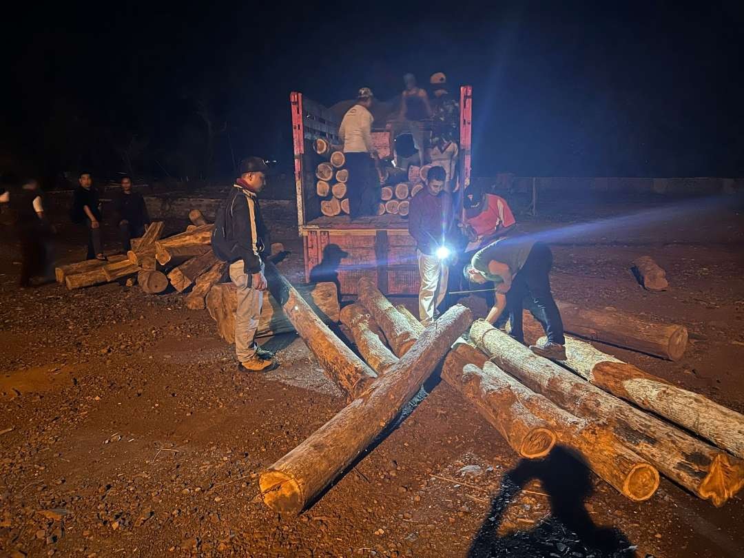 Kayu jati ilegal yang diamankan petugas Polsek Pesanggaran bersama Perhutani (Foto: istimewa)