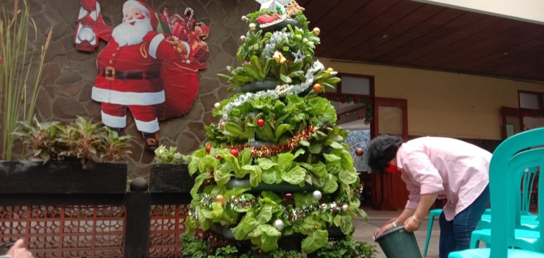 Pohon Natal dari sayuran hidroponik di salah satu gereja di Kota Malang. (Foto: Lalu Theo/Ngopibareng.id)