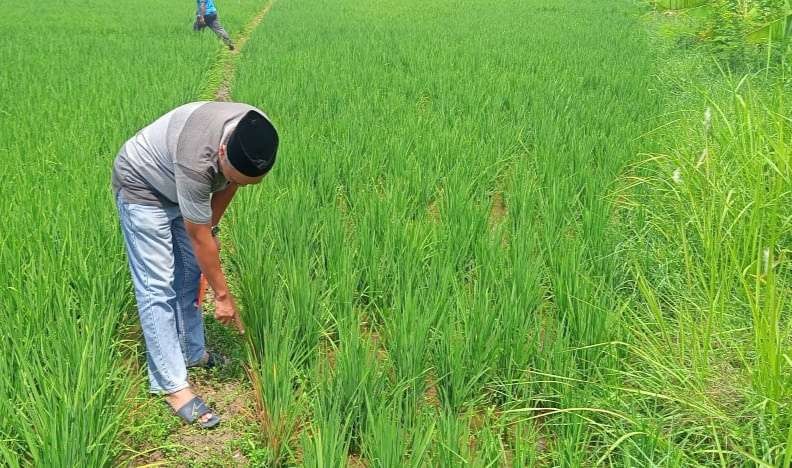 Lokasi korban ditemukan meninggal dunia (Foto : Istimewa)