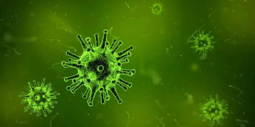 Virus polio bermutasi menyebabkan lumpuh layu. (Foto: Pixabay)