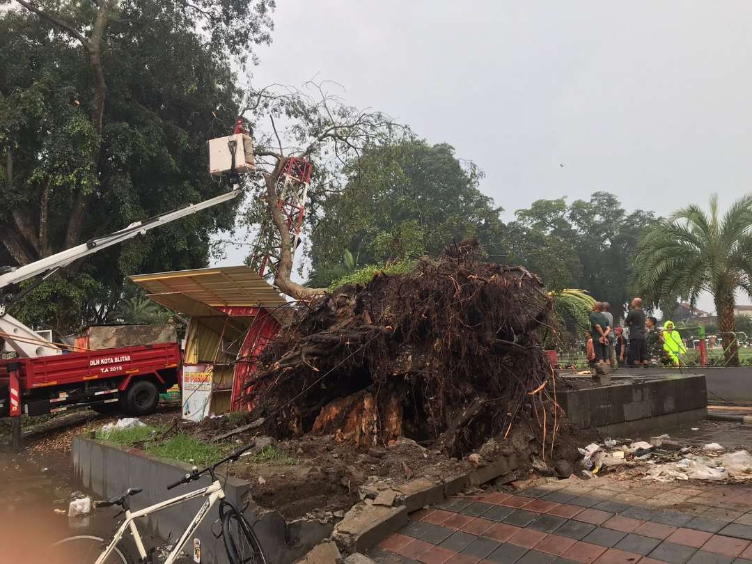 Sebatang pohon beringin di Alun-alun Kota Blitar tumbang menimpa beberapa warung dan sekitar 10 orang di dalamnya. Kondisi korban luka ringan. (Foto: Choirul Anam/Ngopibareng.id)
