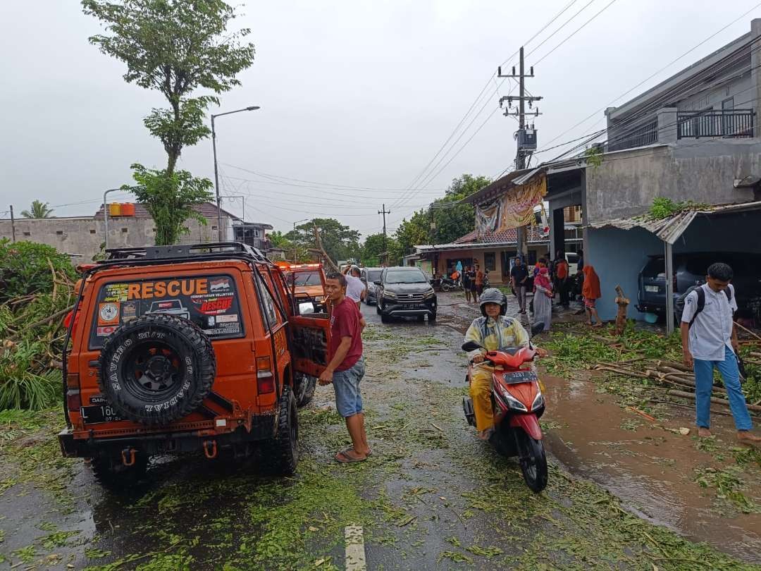 Relawan BPBD Jember setelah berhasil membersihkan pohon tumbang di satu titik (Foto: Dok BPBD Jember)