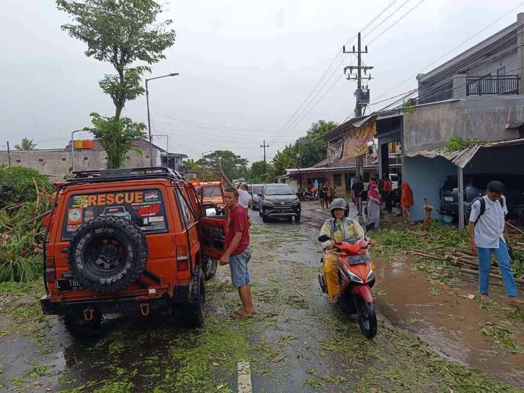 Hujan Angin Terjang Jember Pohon Tumbang Dan Atap Rumah Rontok