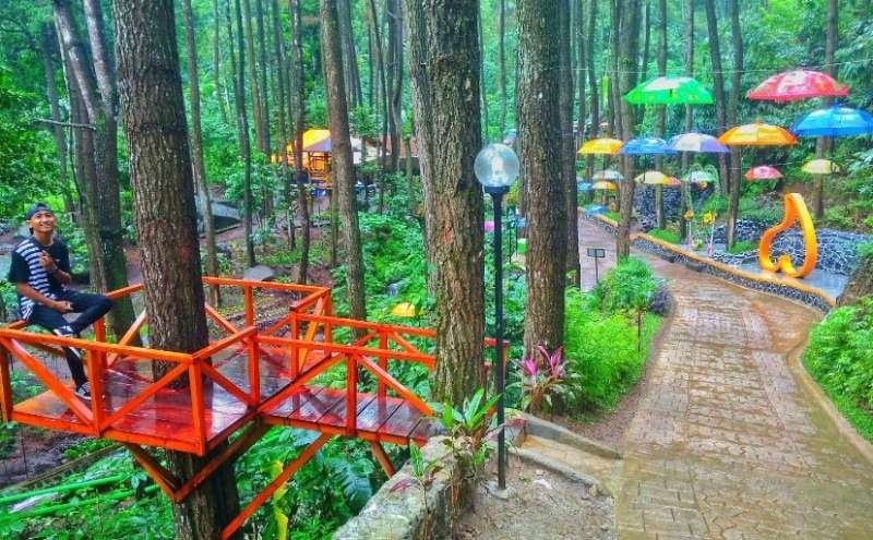 Jalan setapak di antara hutan pinus di lereng Gunung Lawu, area wisata Srambang Park, di Kabupaten Ngawi. (Foto: kominfo.jatim)