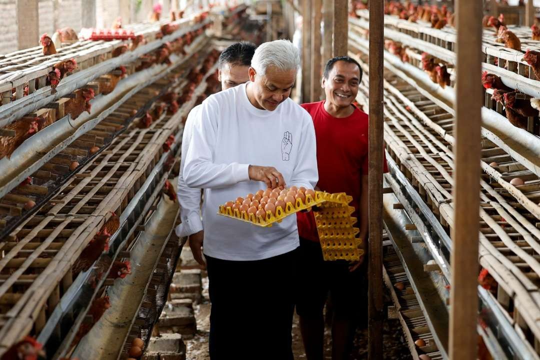 Capres 2024 Ganjar Pranowo panen telur bersama warga di Magetan. (Foto: Tim Media Ganjar)