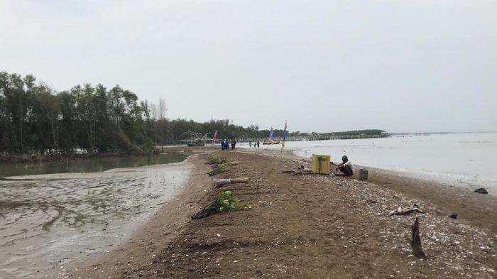 Pulau Arnavat Demak muncul lalu hilang saat rob. (Foto: Pemkab Demak)