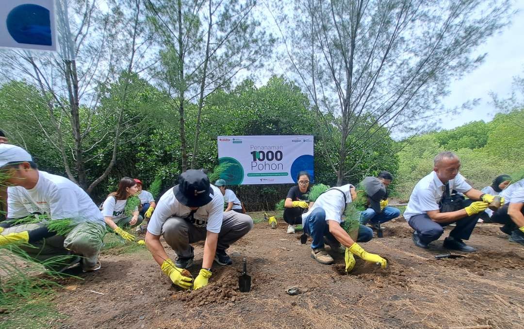 Penanaman pohon di hutan Magrove Desa Penunggul, Pasuruan yang akan menjadi tempat wisata. (Foto: Pita Sari/Ngopibareng.id)