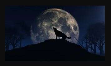 Fenomena wolf moon, Bulan Purnama Januari. (Foto: Istimewa)