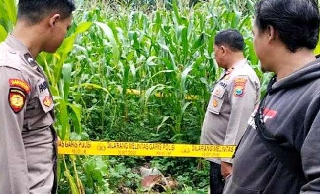 Mayat membusuk ditemukan di kebun jagung Desa Botolinggo Bondowoso adalah kakek ODGJ Wito, 70 tahun. (Foto: Humas Polres Bondowoso)