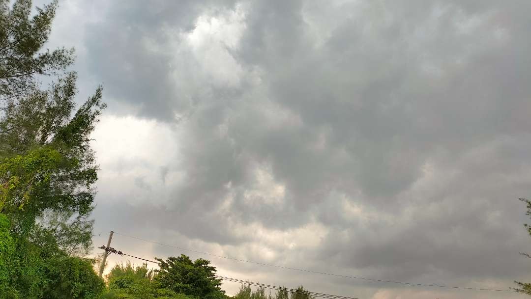 Prakiraan cuaca Kota Surabaya cerah berawan hingga petang, sebelum hujan mengguyur malam hari, Jumat 16 Februari 2024. (Foto: Yasmin Fitrida/Ngopibareng.id)