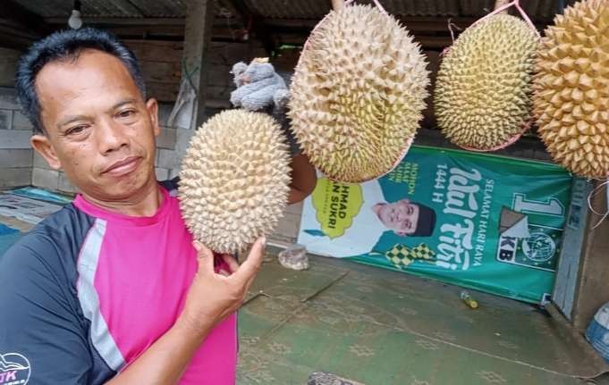 Buah durian dari kaki Gunung Lawu rasanya legit dan pahitnya nendang (Foto: Asmanu Sudharso/ngopibareng.id)