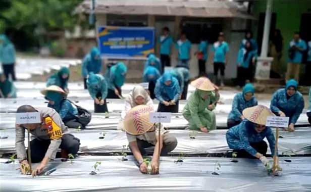 Ibu-ibu PKK Bondowoso mengajak masyarakat dengan gerakan serentak tanam cabai di pekarangan "GAS TANCAP" (Foto: Diskominfo Bondowoso) )