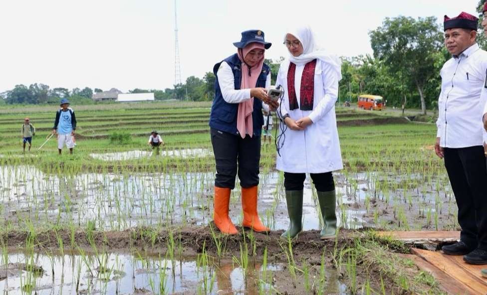 Bupati Banyuwangi Ipuk Fiestiandani mencoba alat uji tanah (foto:Humas Pemkab Banyuwangi)