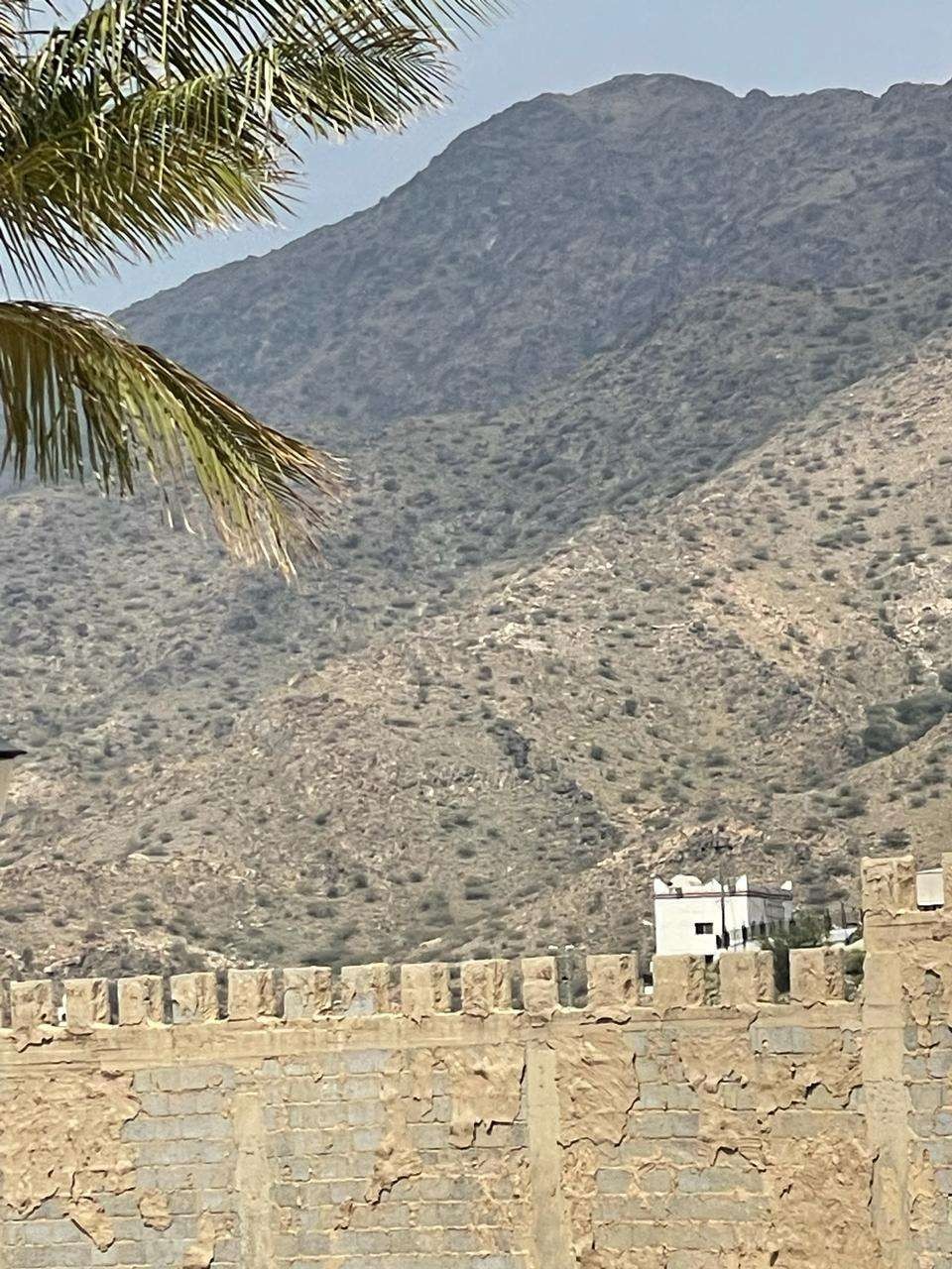 Kota Taif memang tampak lebih subur dibandingkan dengan kawasan Arab Saudi lainnya.