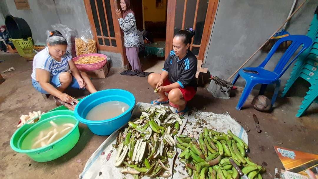 Pisang jenis cavendis langka jelang lebaran, padahal sedianya pisang cavendis panen raya di bulan ini. (Foto: Mardiansyah Triraharjo/Ngopibareng.id)