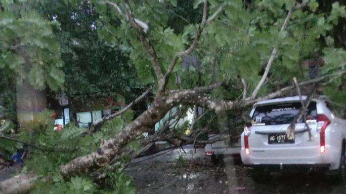 Pohon tumbang di Trenggalek menimpa mobil mewah. (Foto: BPBD Trenggalek)