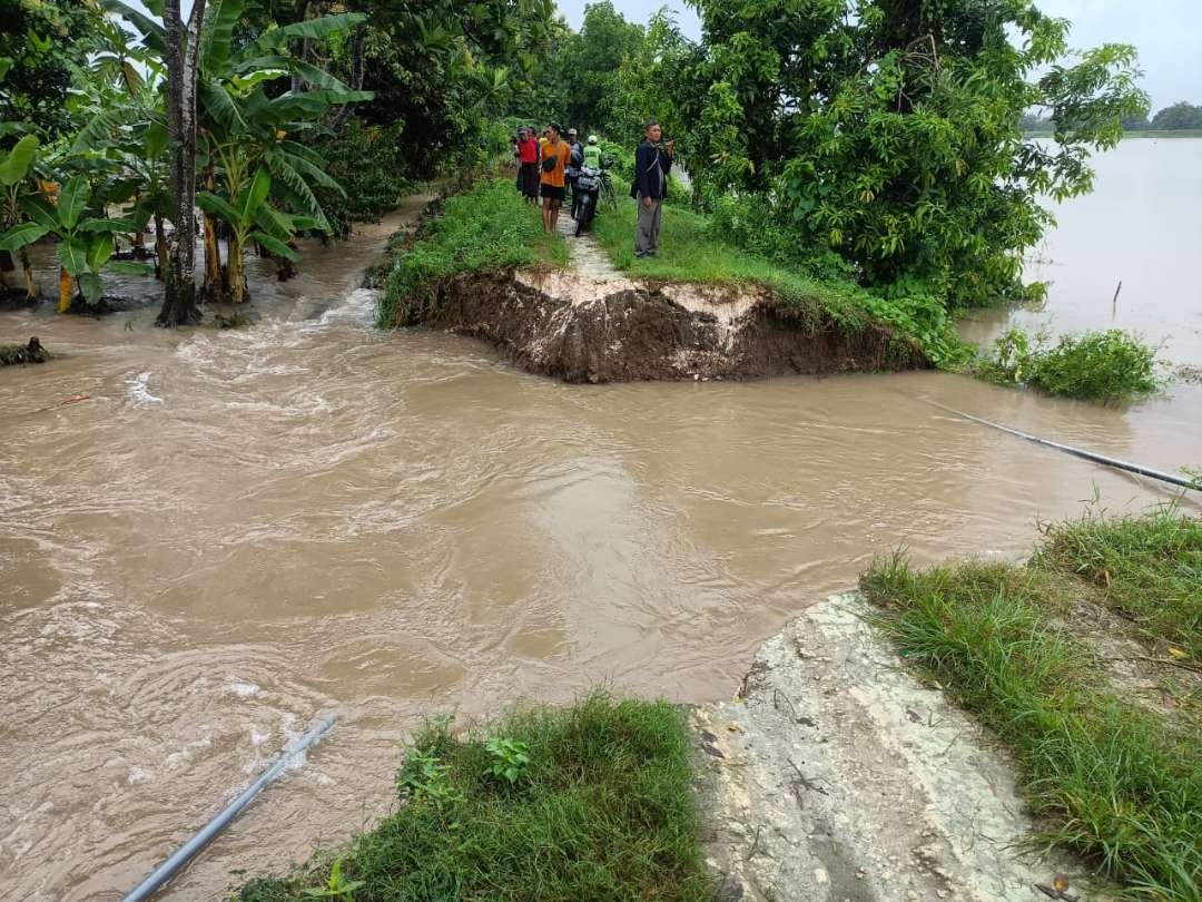 Tanggul Dusun Sawo, Desa Jangkungsumo, Kecamatan Maduran yang jebol. (Foto: Istimewa)