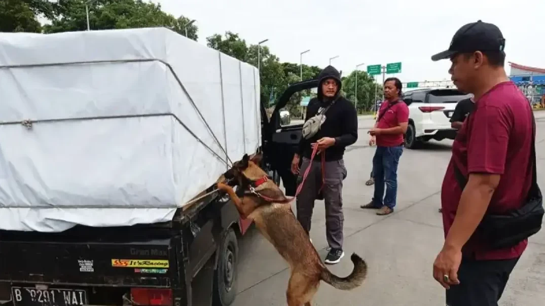 Direktorat Tindak Pidana Narkoba Bareskrim Polri bersama Tim K-9 Narkotik Korps Sabhara Baharkam Polri berhasil menggagalkan penyelundupan narkotika. (Foto: Polri)