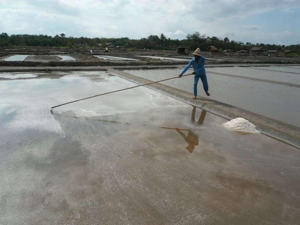 Kawasan dataran rendah di Kabupaten Probolinggo menjadi penyumbang kasus Demam Berdarah Dengue (DBD). (Foto: Ikhsan Mahmudi/Ngopibareng.id)