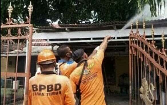 BPBD Situbondo menyemprot pestisida membasmi ulat bulu menyerang permukiman warga Kelurahan Mimbaan Kecamatan Panji. (Foto: BPBD Situbondo)