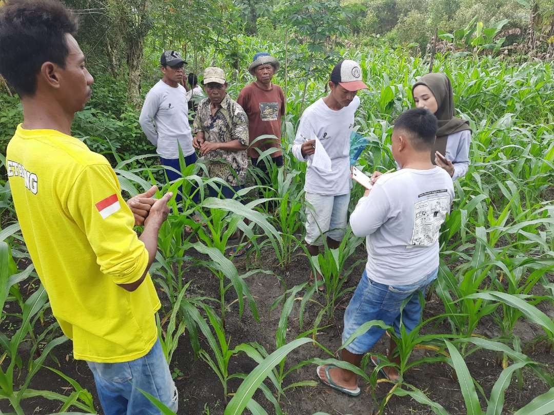 Anggota Kelompok Tani Hutan (KTH) di sekitar area Lapangan Gas Jambaran-Tiung Biru (JTB) mengikuti sekolah lapangan atau kursus tani di Kecamatan Ngasem, Bojonegoro. (Foto: dok. Pepc)