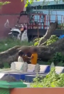 Tiga bocah cilik (bocil) yang diduga mesum di lokasi kuburan di di Kelurahan Pannampu, Kecamatan Tallo, Kota Makassar. (Foto: tangkapan layar X (twitter) di akun diunggah @funnelxmedia)