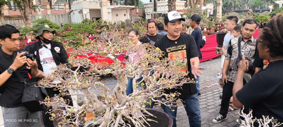 Bacabup Deny Widiynarko Apresiasi Kontes Bonsai Nasional  di Kediri (Foto: Fendi Lesmana/ngopibareng.id)