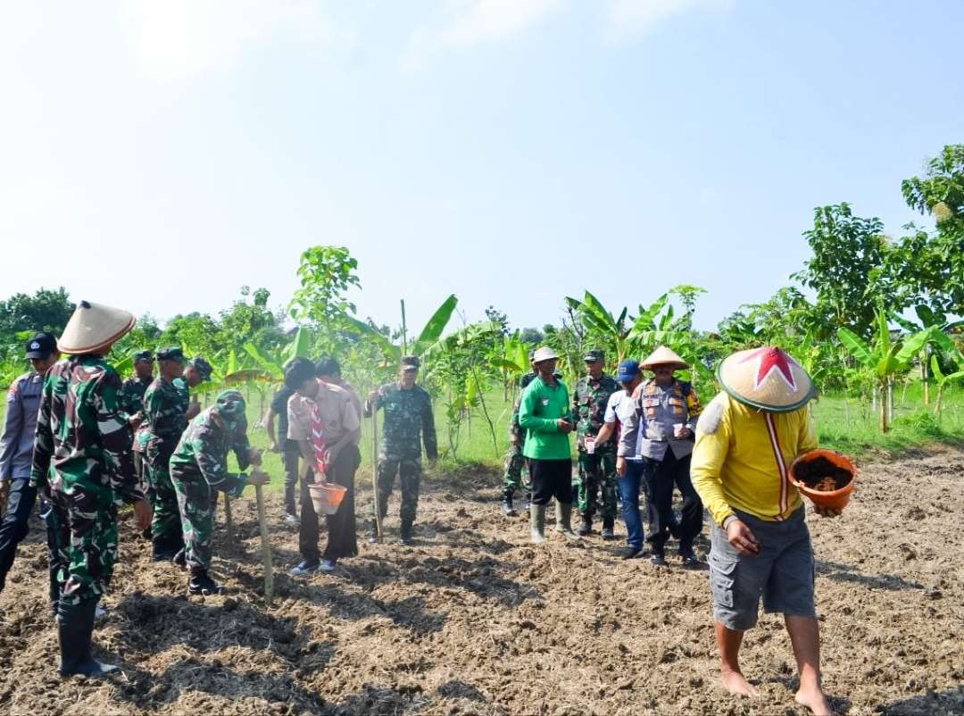 Tanam jagung dipimpin langsung Komandan Kodim (Dandim) 0813 Bojonegoro Letkol Czi Arief Rochman Hakim di Desa Banjarsari, Kecamatan Trucuk, Bojonegoro pada Jumat 10 Mei 2024. (Foto: dok. Kodim bojonegoro)